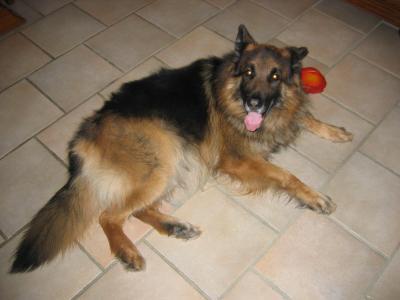 ROXANE